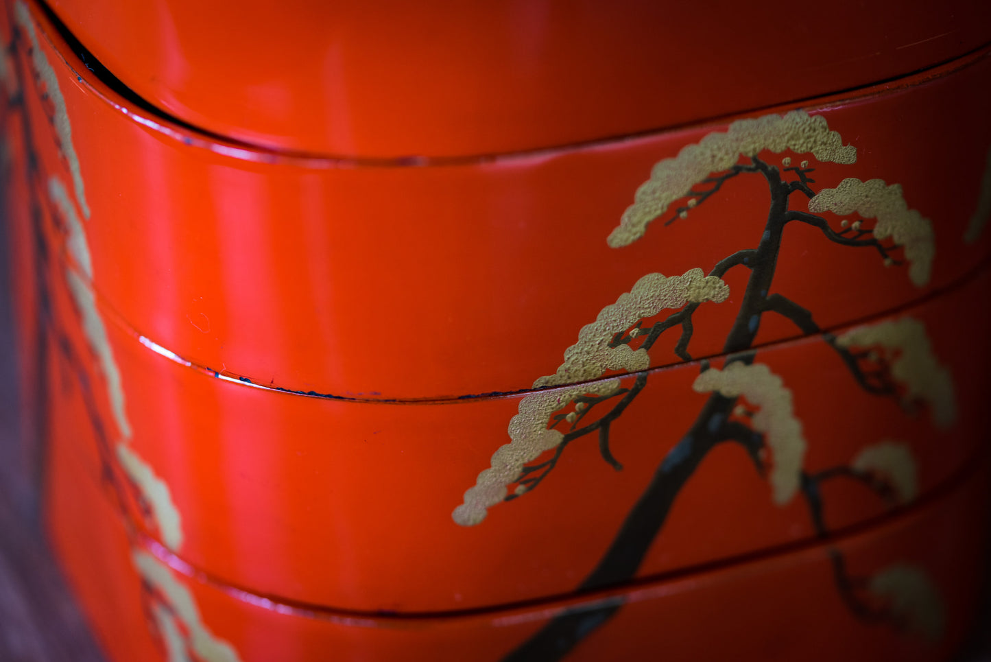 Tamatebako support member